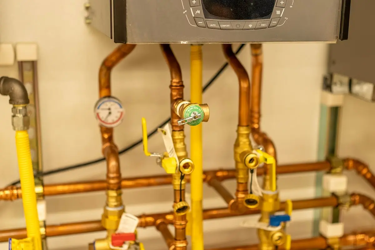 Licensed technician providing Sump Pump Repair for a homeowner in Woodfin